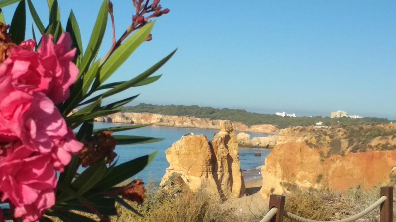 Albur Village B - Camomile Alvor Eksteriør bilde